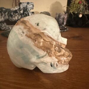 Caribbean Calcite Skull